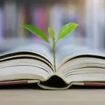 Che cosa sono gli ITS? Tutte le caratteristiche da considerare su questi corsi